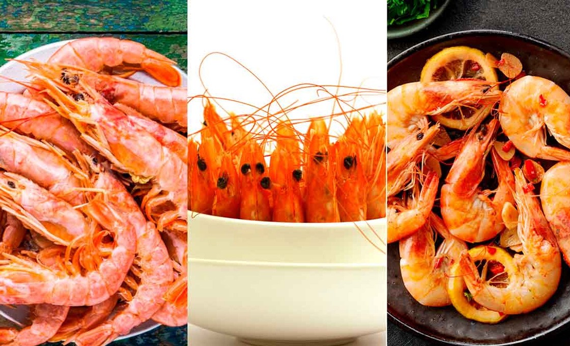Brote de salmonella en camarones Brote de salmonella en camarones