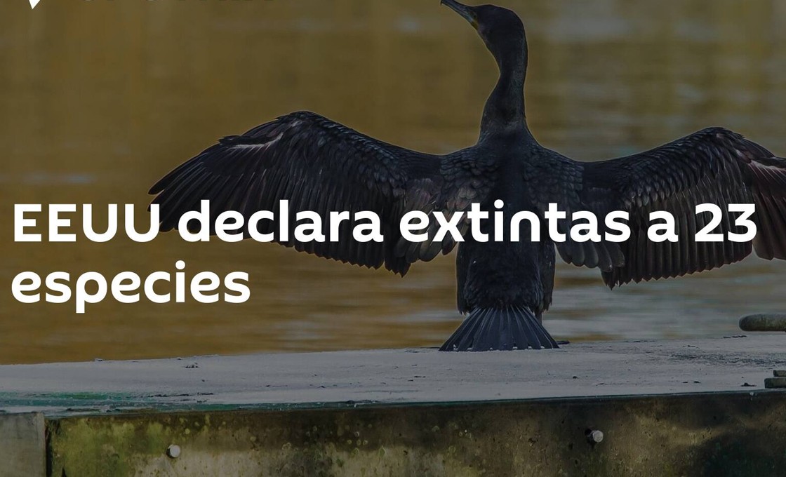 EE.UU. declara la extinción de 23 especies animales EE.UU. declara la extinción de 23 especies animales