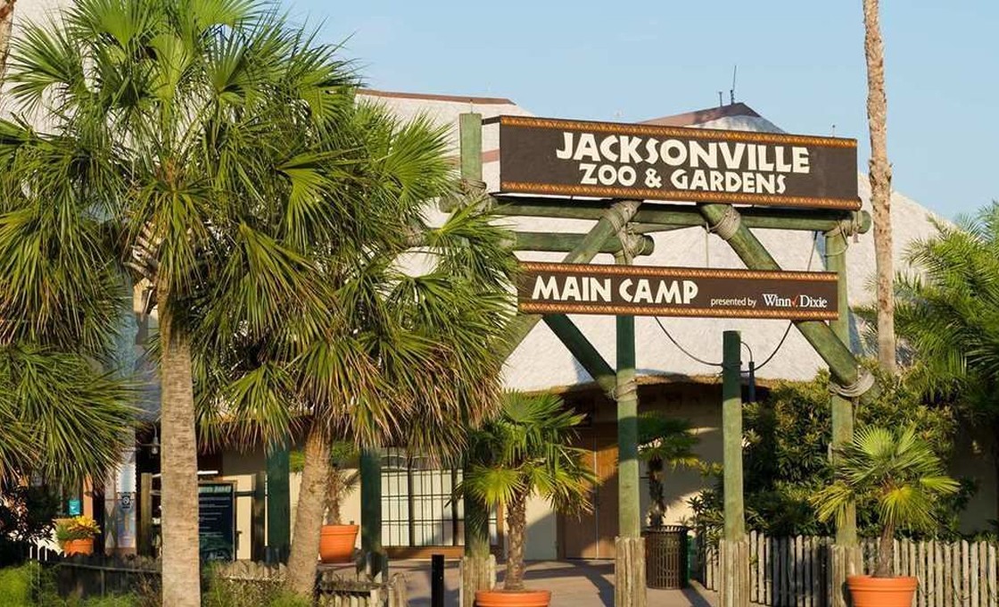 El zoológico de Jacksonville tiene como objetivo recaudar $ 50 millones en 5 años El zoológico de Jacksonville tiene como objetivo recaudar $ 50 millones en 5 años