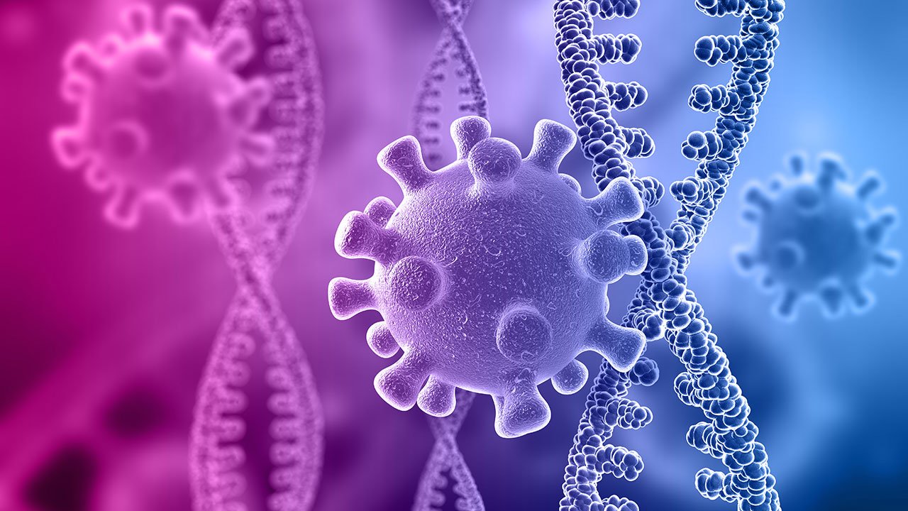 Nueva variante del coronavirus en Sudáfrica preocupa al mundo