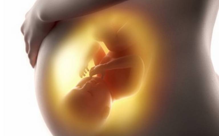 El gobernador de Florida firmó ley que prohíbe en el estado el aborto después de las 15 semanas El gobernador de Florida firmó ley que prohíbe en el estado el aborto después de las 15 semanas
