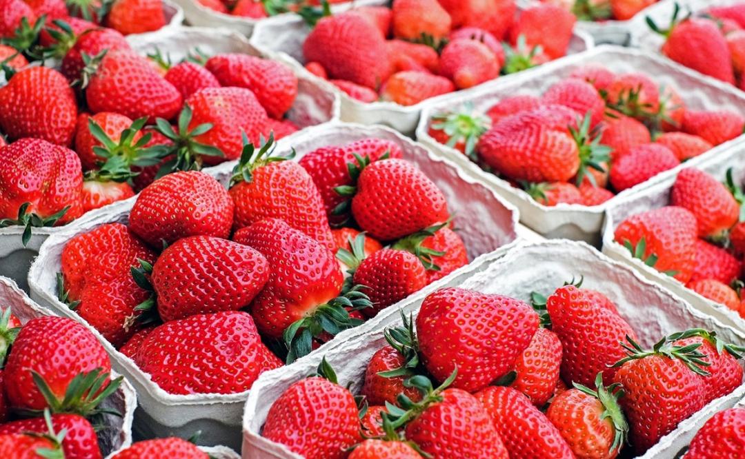 Investigan brote de hepatitis a relacionado con fresas orgánicas contaminadas Investigan brote de hepatitis a relacionado con fresas orgánicas contaminadas