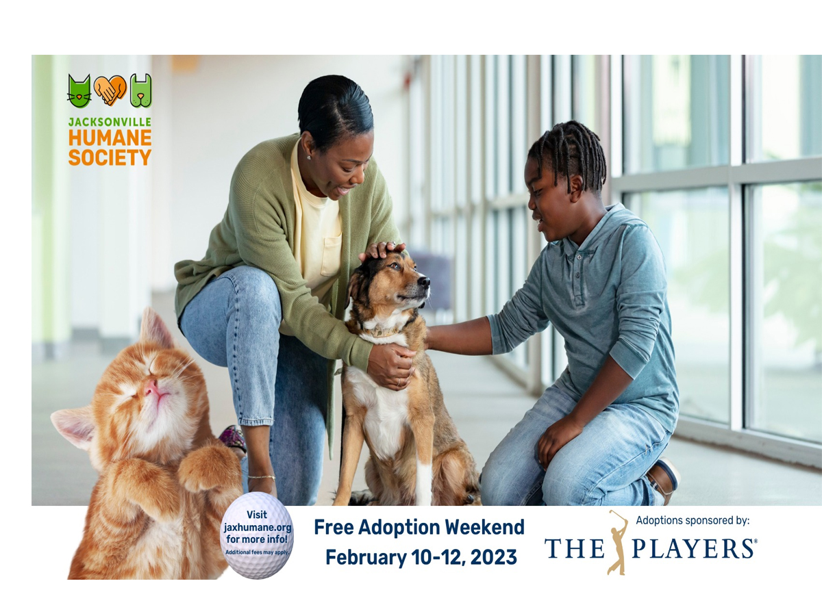 Evento de adopción gratuita este fin de semana en Jacksonville Humane Society