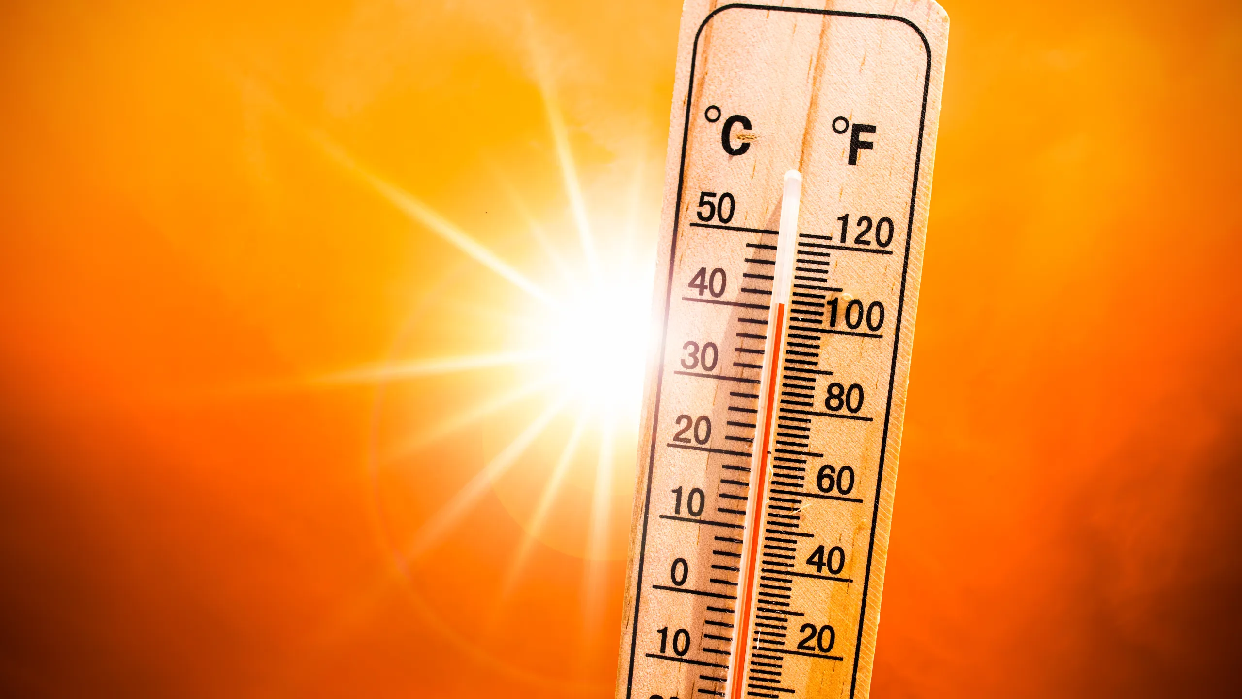 Advertencia de calor excesivo para el área de 10:00 a. m. a 8:00 p. m.