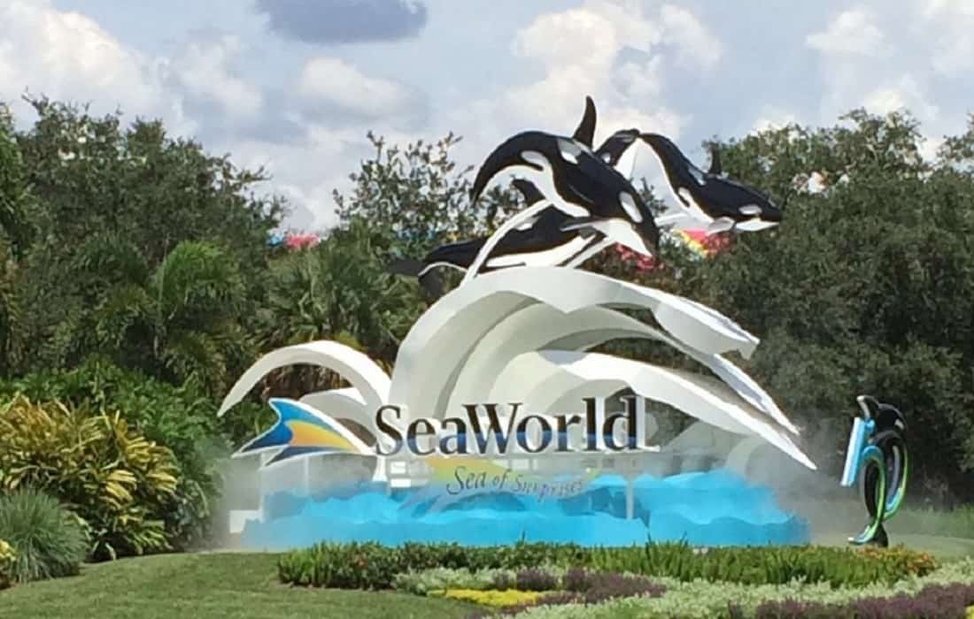 SeaWorld Orlando ofrece entrada gratuita ilimitada a los maestros de Florida