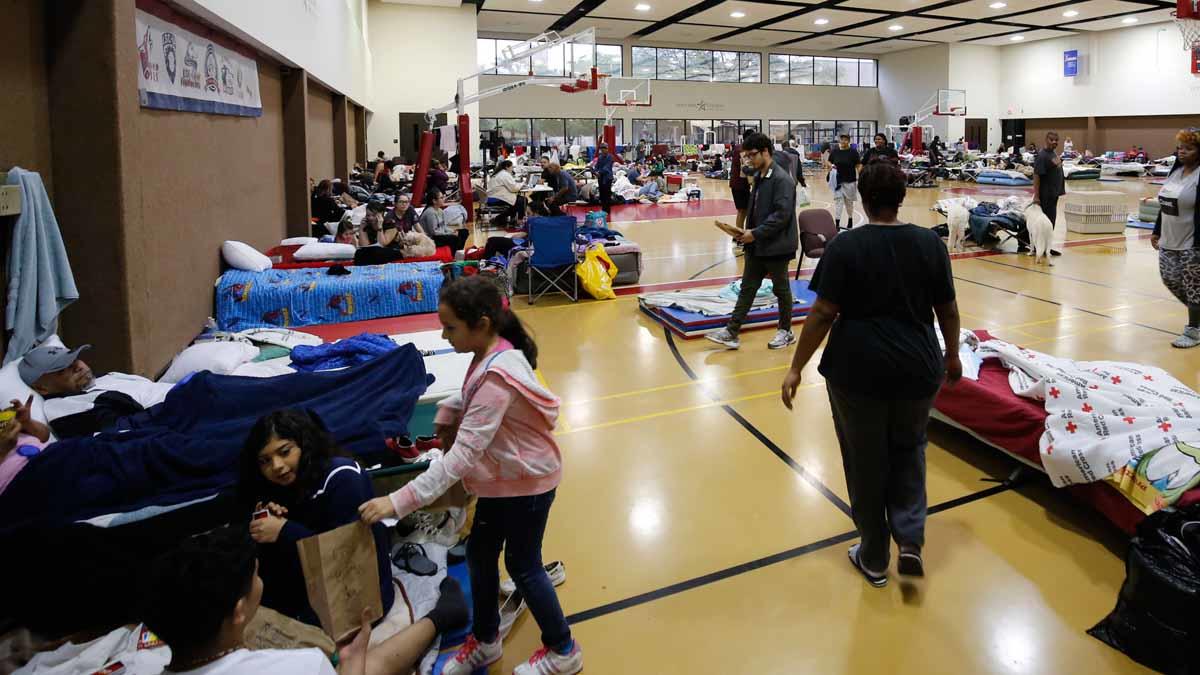 ¿Dónde encontrar refugio en el noreste de Florida? ¿Dónde encontrar refugio en el noreste de Florida?