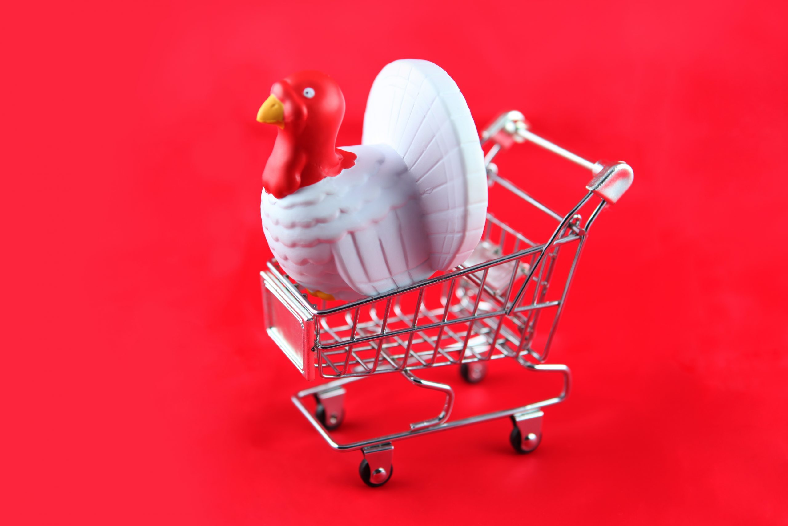 Lista de tiendas que estarán cerradas o abiertas el Día de Acción de Gracias de 2023