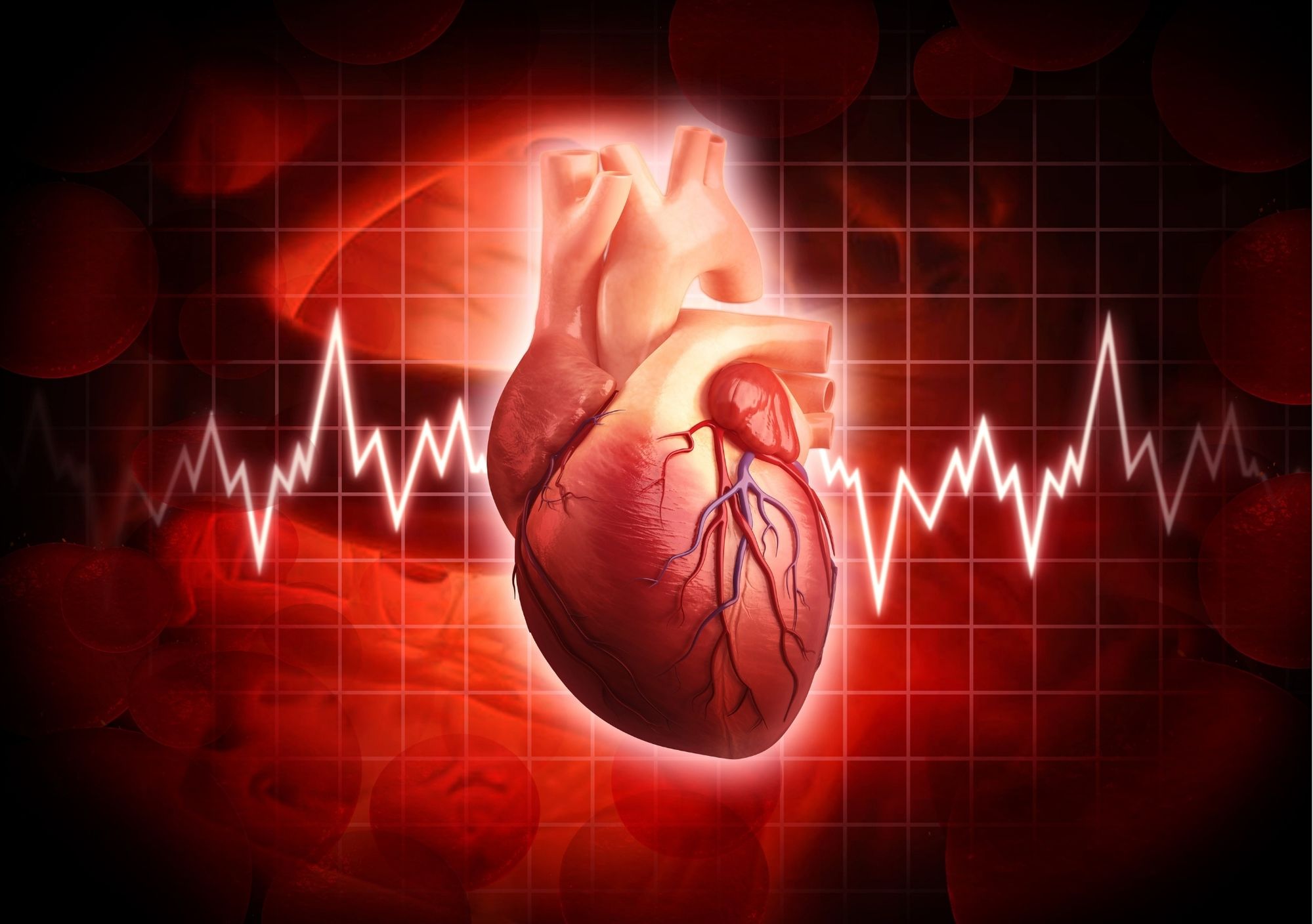 Si tienes hijos de 10 a 22 años pueden obtener un electrocardiograma gratuito a través de Who We Play For