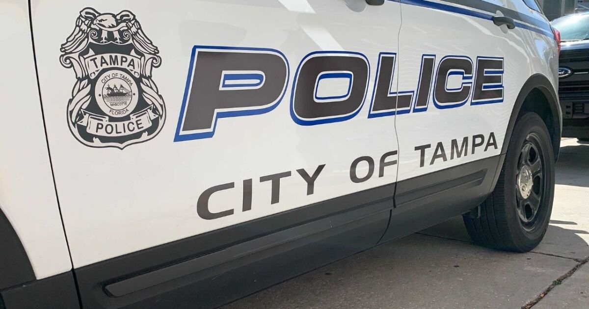 La policía de Tampa investiga el hallazgo de un bebé muerto en el campus universitario La policía de Tampa investiga el hallazgo de un bebé muerto en el campus universitario