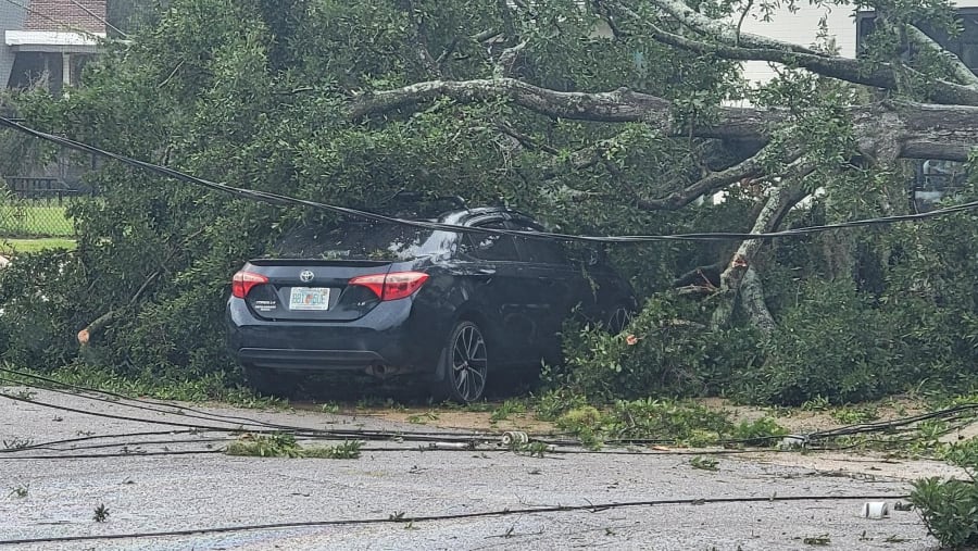 Cae árbol sobre un automóvil estacionado en Oak Street Cae árbol sobre un automóvil estacionado en Oak Street