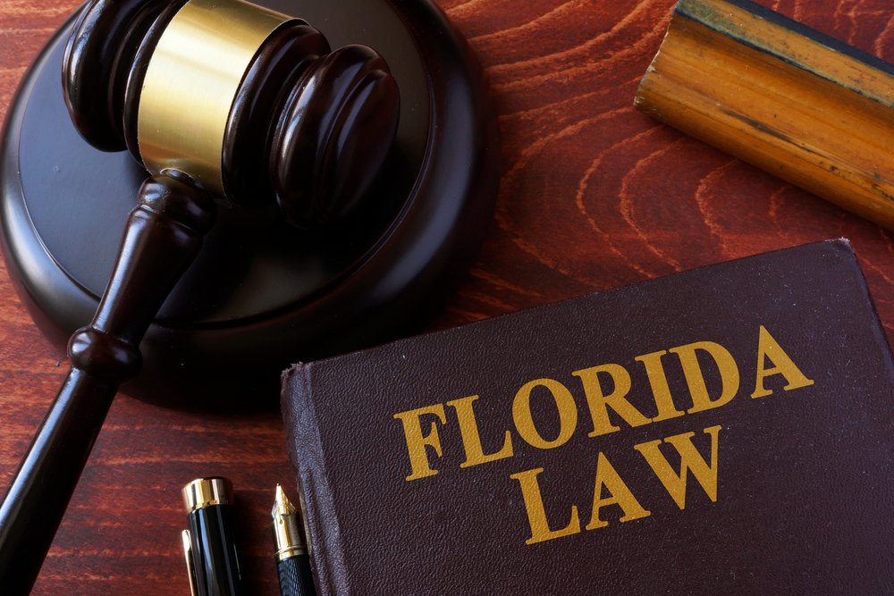 Más de 100 nuevas leyes entran en vigor en Florida este 1° de julio Más de 100 nuevas leyes entran en vigor en Florida este 1° de julio