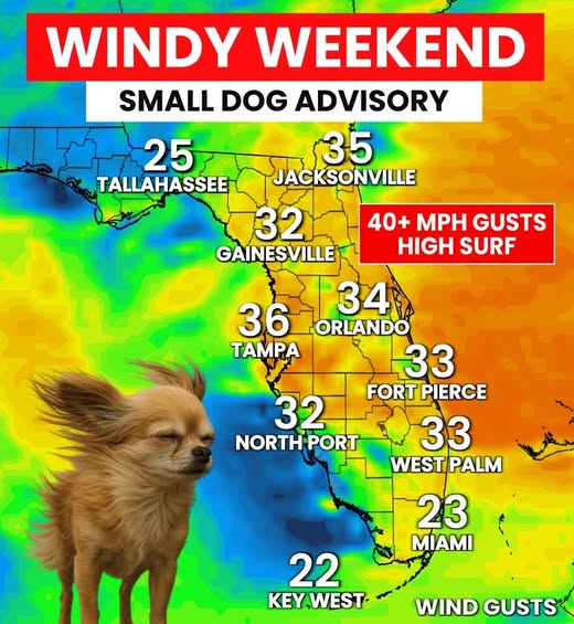 VIENTOS FUERTES AFECTARÁN FLORIDA ESTE FIN DE SEMANA