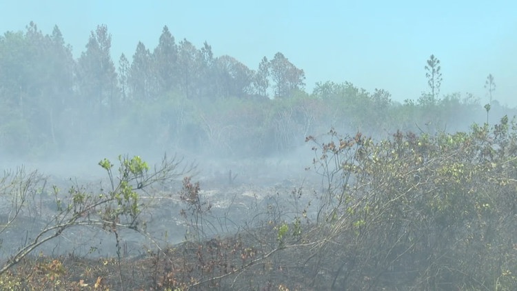 Incendio de ferrocarril en los condados de Clay y Putnam | Mapas, actualizaciones
