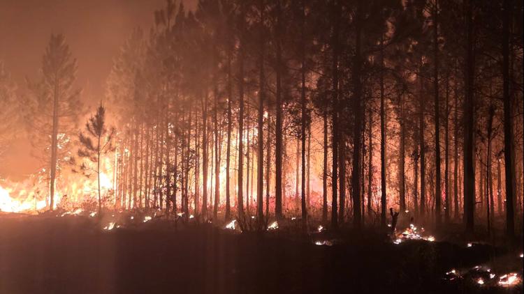 Actualizaciones en vivo | Los bomberos del condado de Nassau luchan contra un par de grandes incendios forestales