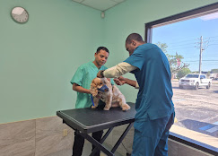 VETERINARY CARE UNIVERSITYVETERINARY CARE UNIVERSITY JACKSONVILLE https://www.veterinarycareuniversity.com/blog