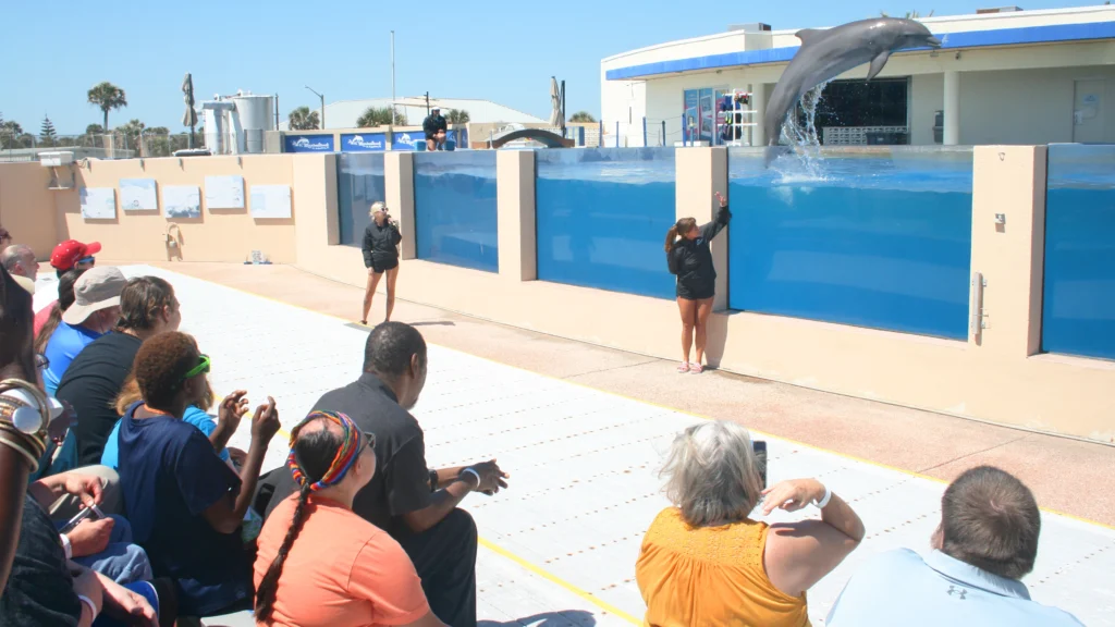 Marineland se recupera de los días oscuros. Ahora el personal dice que el parque está prosperando.