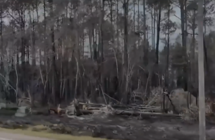HUMO POR INCENDIO FORESTAL EN JACKSONVILLE MAYO 2O26