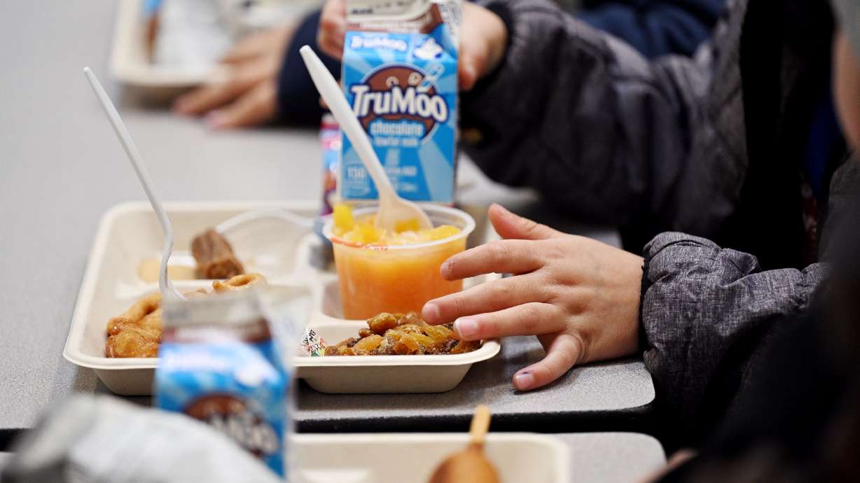 ESCUELAS DE CLAY OFRECERÁN DESAYUNOS Y ALMUERZOS GRATIS ESTE VERANO