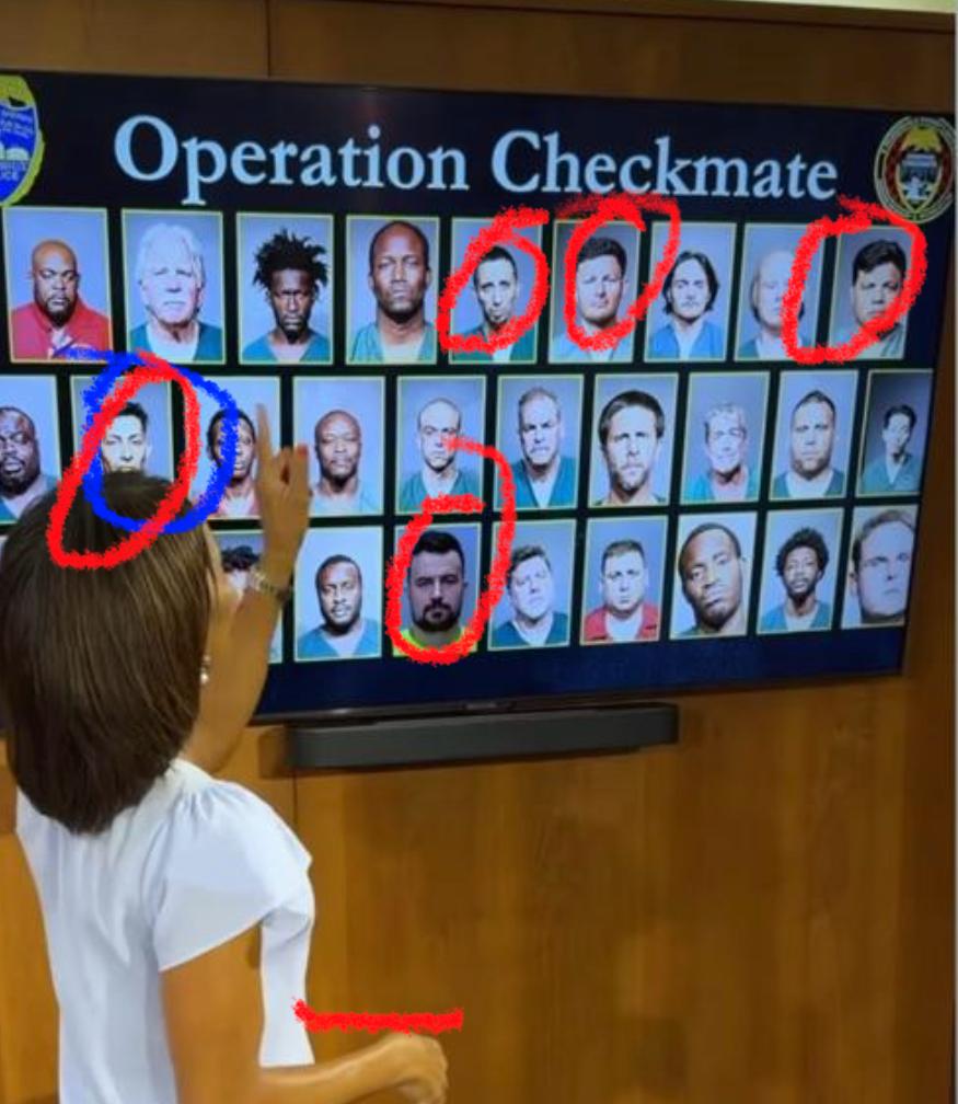 OPERATION CHECKMATE: JSO ANUNCIA LA CAPTURA DE 29 DEPREDADORES INFANTILES EN ENMEGADO OPERATIVO