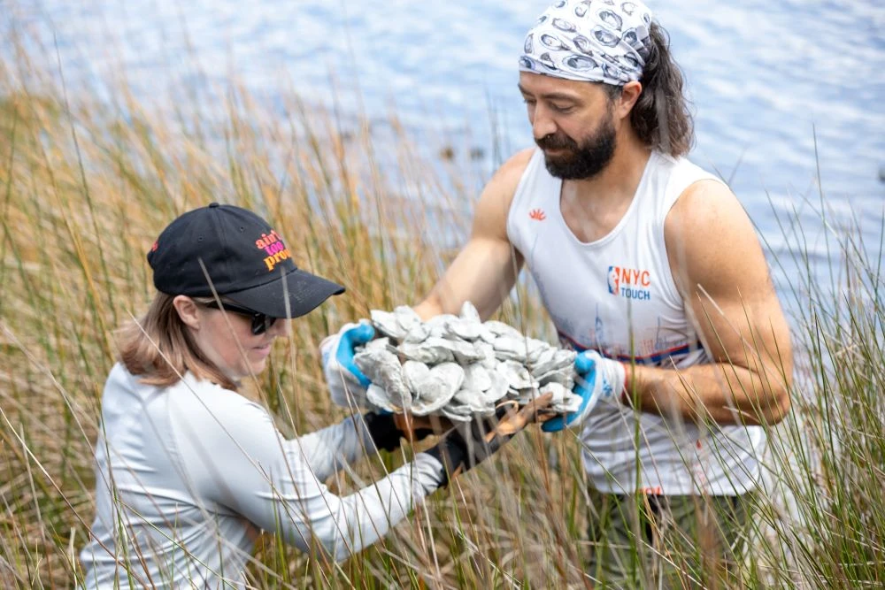 Los voluntarios plantan hábitats de conchas de ostras en un esfuerzo por ayudar a limpiar las vías fluviales