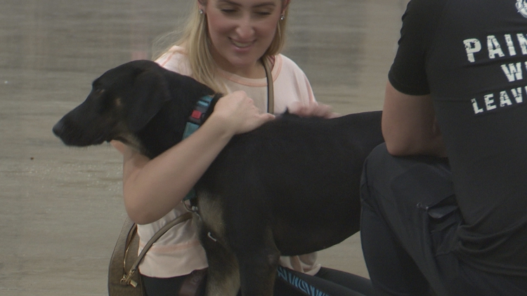 167 mascotas encuentran nuevos hogares en el primer día del evento Mega Adopción en Prime Osborn