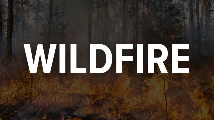 Se desata un incendio forestal en el condado de Charlton; Equipos trabajando para proteger estructuras.