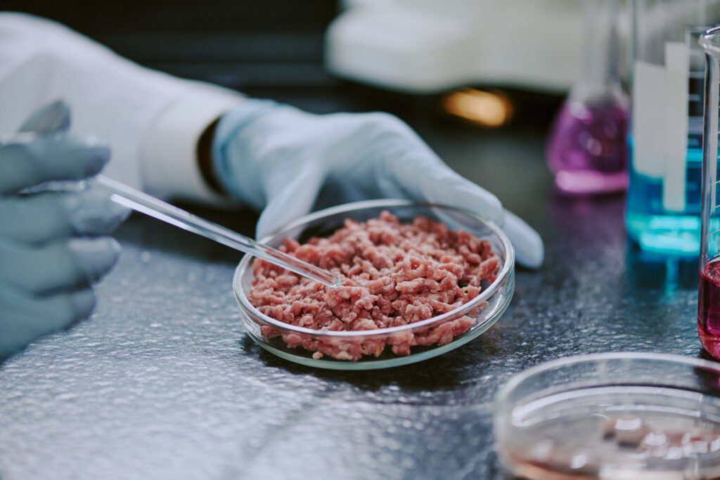 ÚLTIMA HORA: Corte Suprema de Florida da luz verde a la carne de laboratorio y bloquea ley de DeSantis ÚLTIMA HORA: Corte Suprema de Florida da luz verde a la carne de laboratorio y bloquea ley de DeSantis