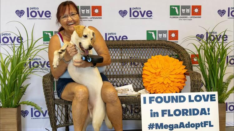 MEGA evento de adopción de mascotas en Florida | Este fin de semana se eliminarán cientos de tarifas de adopción de perros y gatos