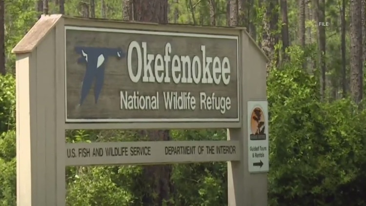 El pantano Okefenokee de Georgia entre las nuevas incorporaciones a la Lista del Patrimonio Mundial de la UNESCO