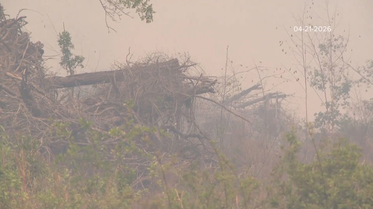 Ayuda en casos de desastre disponible a través de una agencia federal para los afectados por los incendios forestales de Georgia
