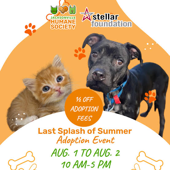 ADOPTA ESTE SÁBADO! REFUGIO DE JACKSONVILLE ELIMINA LOS COSTOS DE ADOPCIÓN