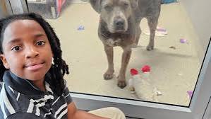 NIÑO DE JACKSONVILLE SUPERA LAS 100 HORAS LEYENDO A ANIMALES DE UN REFUGIO