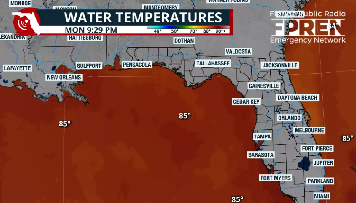 Se forma tormenta tropical Bertha en el Golfo; partes de Florida podrían sentir efectos