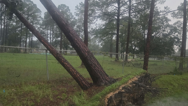 Las escuelas del condado de Union cerraron después de que la tormenta dañara los campus y las casas en Lake Butler