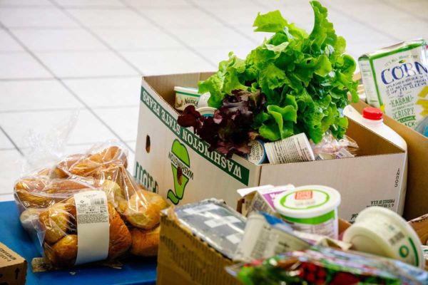 ¿NECESITAS AYUDA CON ALIMENTOS, ROPA, PAÑALES? INGRESA AQUÍ