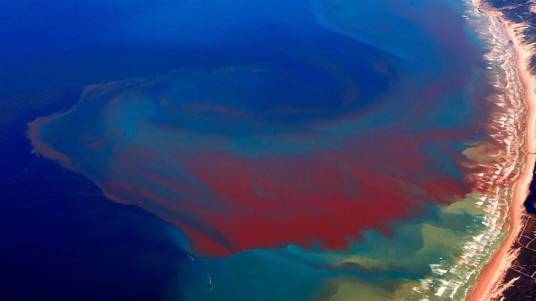  EMITEN SEGUNDO AVISO POR «MAREA ROJA» EN EL CONDADO DE DUVAL 
