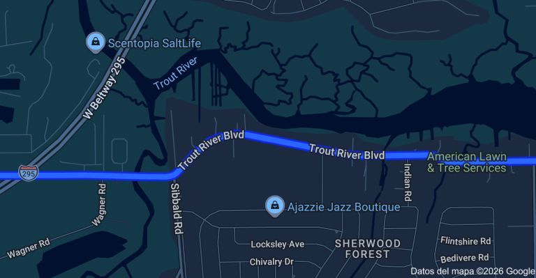 JACKSONVILLE ANALIZA UNA INVERSIÓN DE $390,000 PARA MEJORAR TROUT RIVER BOULEVARD