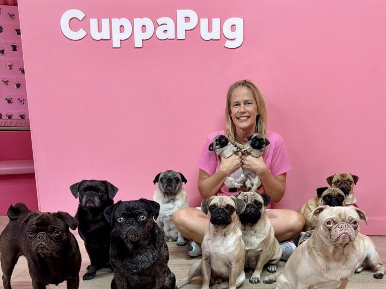 ADOPCIÓN Y CAFÉ: LLEGA UN CONCEPTO ÚNICO PARA LOS AMANTES DE LOS PUGS