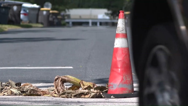 Two holes in Murray Hill roads filled by banana trees; JEA now says one will be repaired