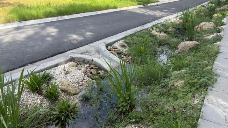 PROYECTO INFRAESTRUCTURA MANTIENE SECO A VECINDARIO DE ST. AUGUSTINE Y LIMPIA EL RÍO MATANZAS