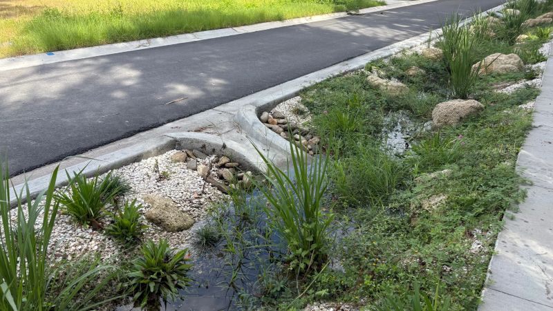 PROYECTO INFRAESTRUCTURA MANTIENE SECO A VECINDARIO DE ST. AUGUSTINE Y LIMPIA EL RÍO MATANZAS