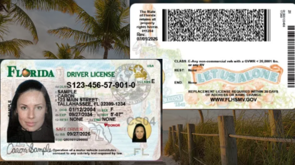 FLORIDA ESTRENA NUEVO DISEÑO PARA LICENCIAS DE CONDUCIR FLORIDA ESTRENA NUEVO DISEÑO PARA LICENCIAS DE CONDUCIR