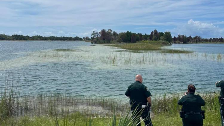 Child bitten by alligator while swimming at Weeki Wachee Preserve; FWC investigating