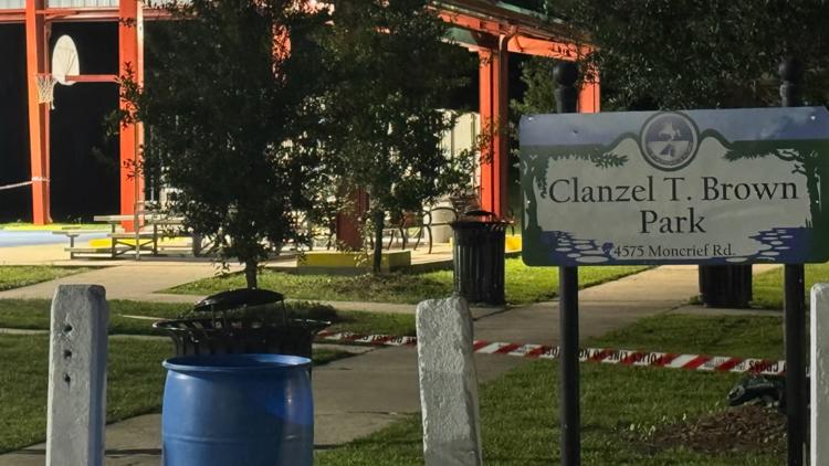 Man killed in shooting at Clanzel T. Brown Park; suspect in custody