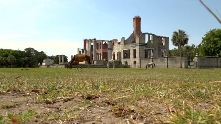 Cumberland Island land swap proposal faces pushback at public meeting