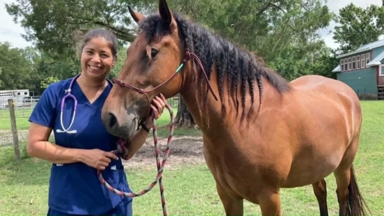 Friends push for release of veterinarian detained by ICE: ‘She just wanted her American dream’ Friends push for release of veterinarian detained by ICE: ‘She just wanted her American dream’