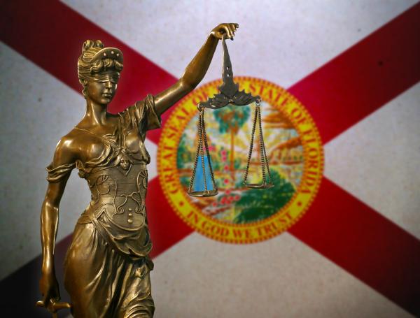 ENTRAN EN VIGOR MÁS DE UNA DOCENA DE NUEVAS LEYES EN FLORIDA ENTRAN EN VIGOR MÁS DE UNA DOCENA DE NUEVAS LEYES EN FLORIDA
