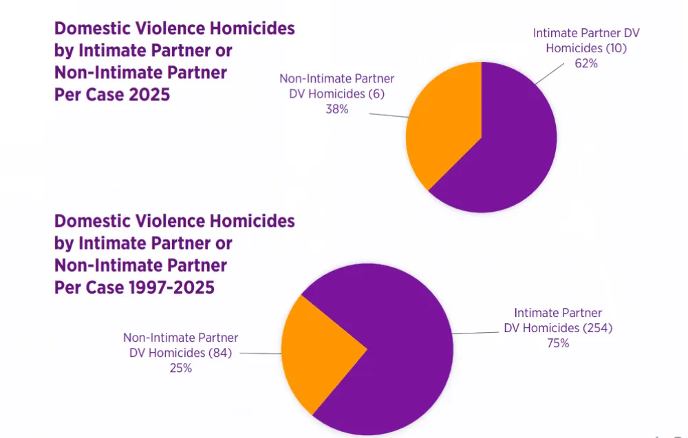 Domestic abuse killed more people in Duval County last year Domestic abuse killed more people in Duval County last year
