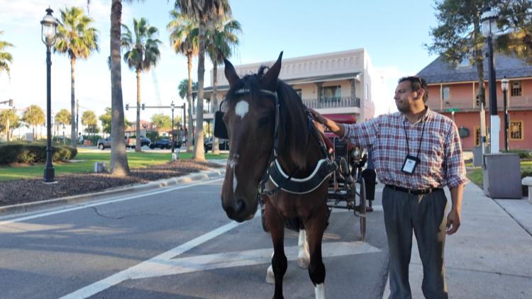 St. Augustine horse-drawn carriages get three-year extension after contentious vote St. Augustine horse-drawn carriages get three-year extension after contentious vote