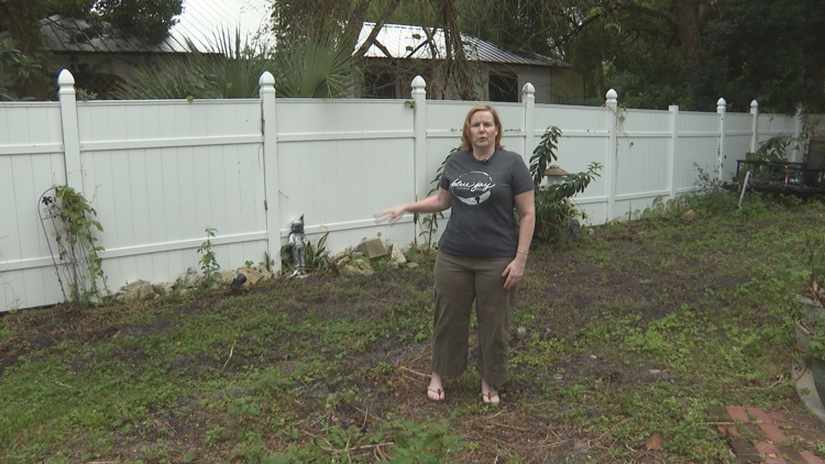 Green Cove Springs 'digging in' to solve wild hog problem
